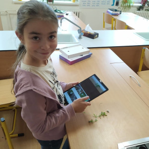 Výuka na tabletech