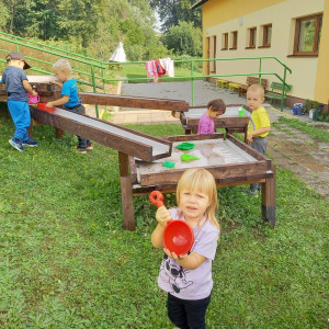 Ježečci