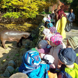 ZOO Jihlava
