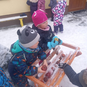 Zima u Ježečků - karneval ...