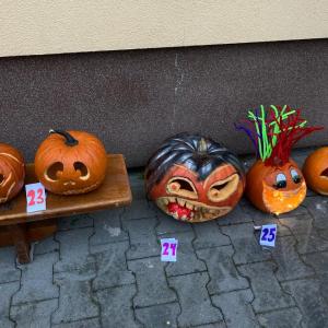 img-20241101-wa0005.jpg